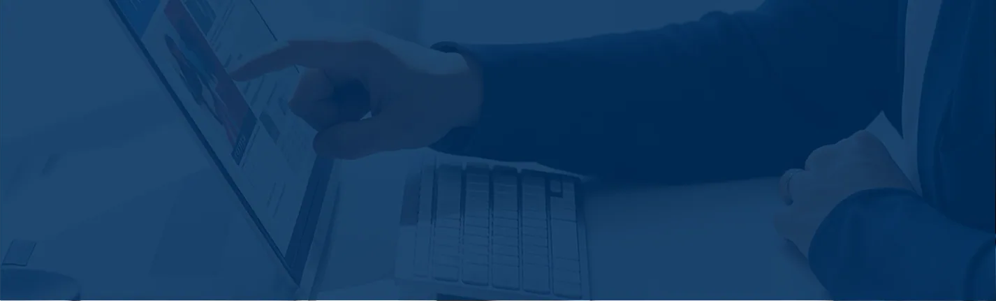 Secure digital systems used for Mimic Business website services