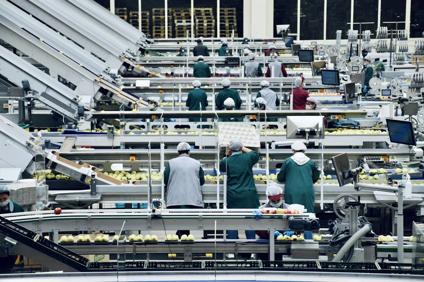 Workers standing at stations within an industrial fruit-processing line